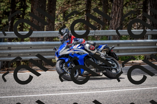 202508031252-DSC_3974_c2