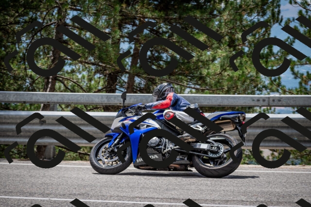 202508031252-DSC_3976_c2