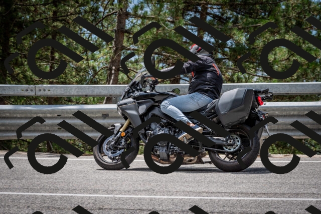 202508031252-DSC_3979_c2