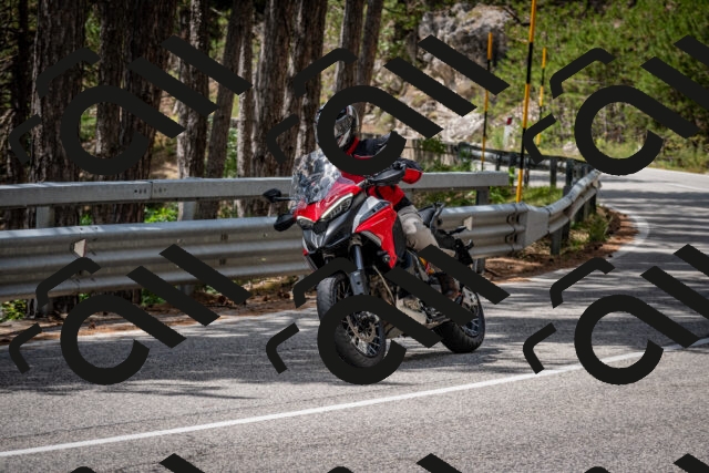 202508031255-DSC_3983_c2