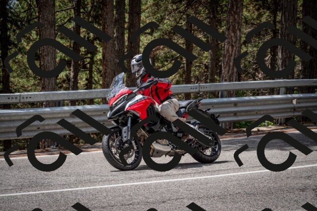 202508031256-DSC_3984_c2