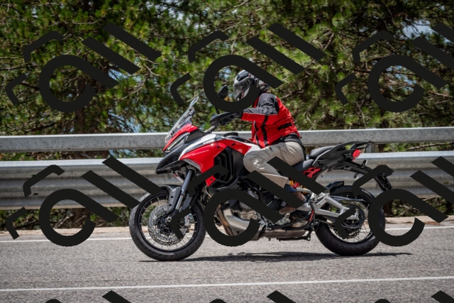 202508031256-DSC_3985_c2