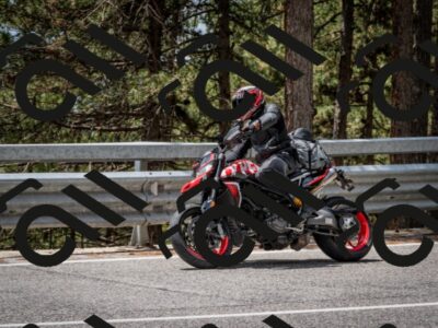 202508031256-DSC_3987_c2