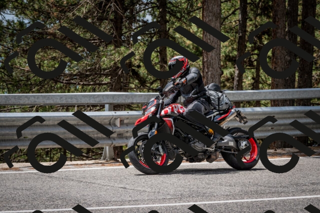 202508031256-DSC_3987_c2