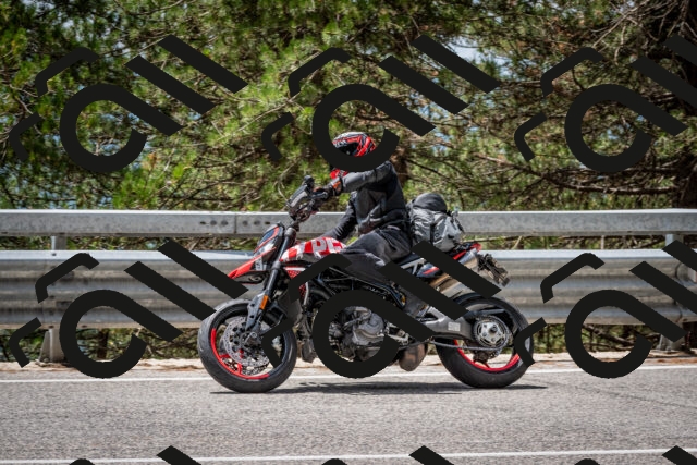 202508031256-DSC_3988_c2