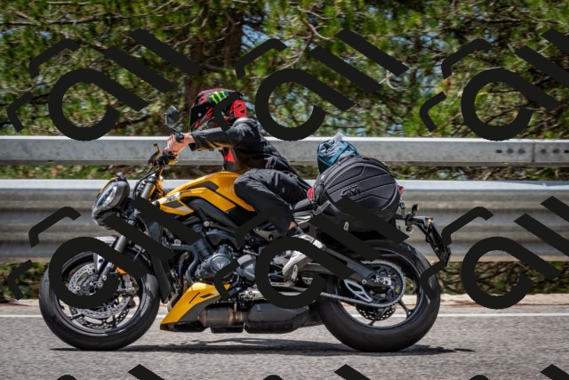 202508031256-DSC_3989_c2