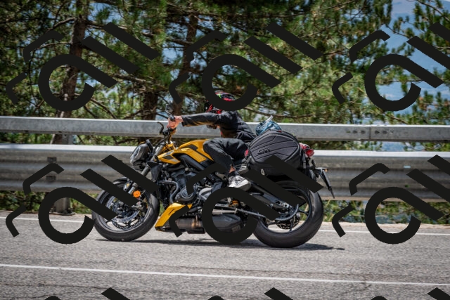 202508031256-DSC_3990_c2