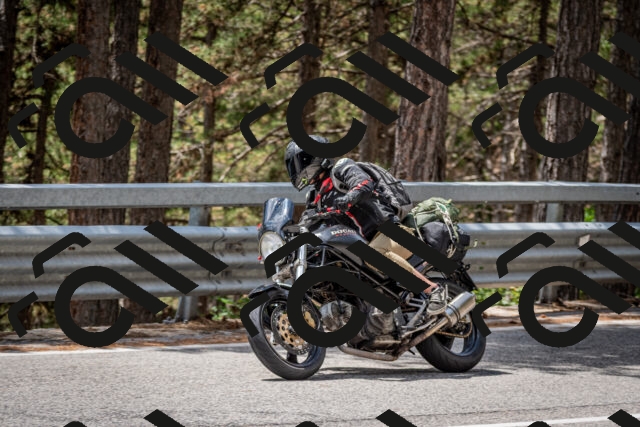 202508031256-DSC_3991_c2