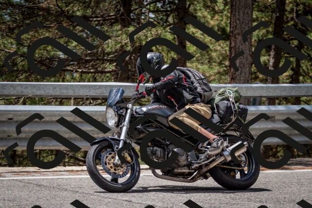 202508031256-DSC_3992_c2