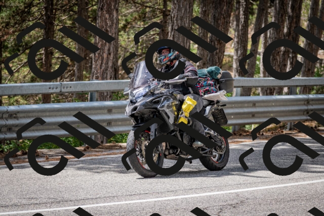 202508031256-DSC_3995_c2