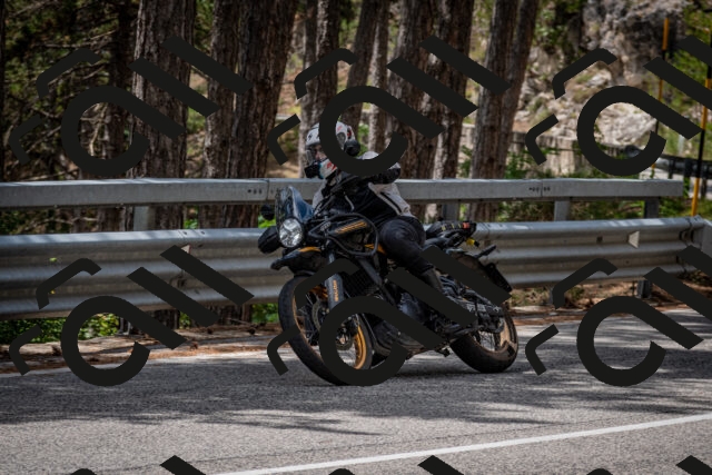 202508031257-DSC_4000_c2