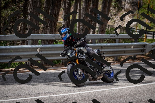 202508031257-DSC_4003_c2