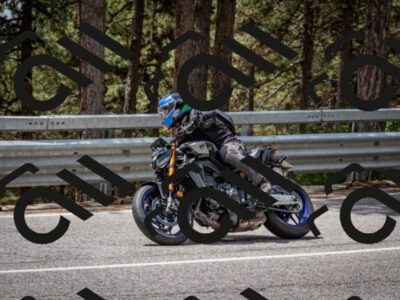 202508031257-DSC_4004_c2