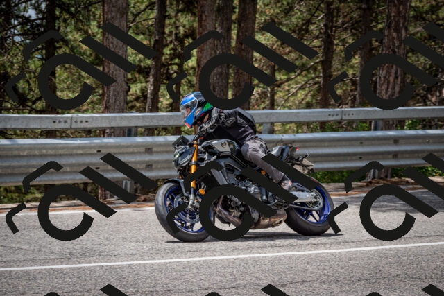 202508031257-DSC_4004_c2