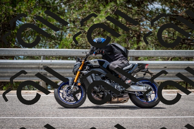 202508031257-DSC_4005_c2