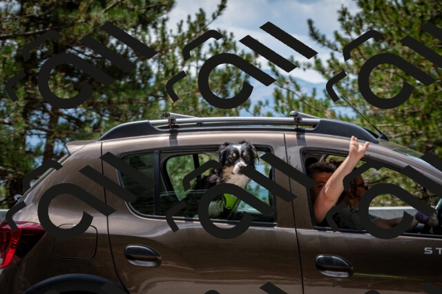 202508031258-DSC_4007_c2