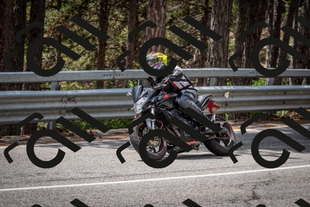 202508031258-DSC_4008_c2