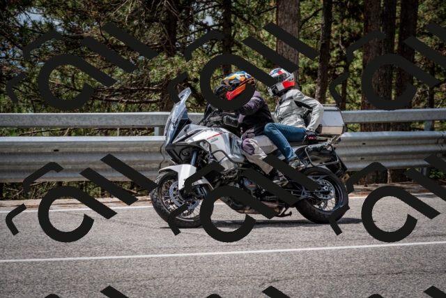 202508031258-DSC_4010_c2