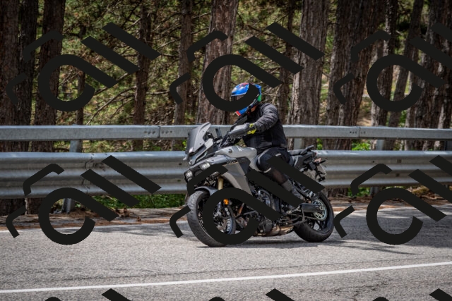 202508031258-DSC_4013_c2