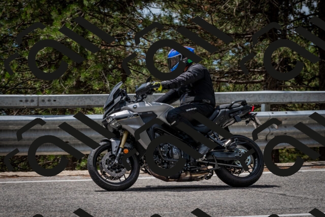 202508031258-DSC_4014_c2