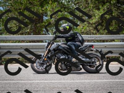 202508031258-DSC_4016_c2