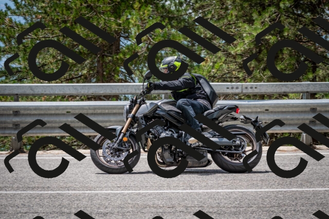 202508031258-DSC_4016_c2