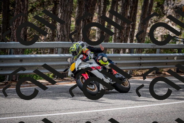 202508031258-DSC_4017_c2