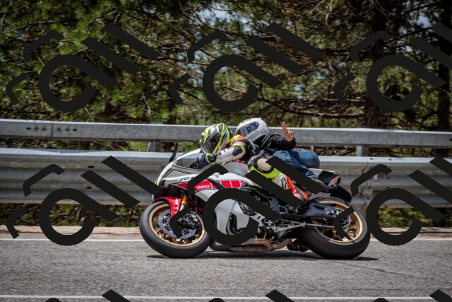 202508031258-DSC_4019_c2