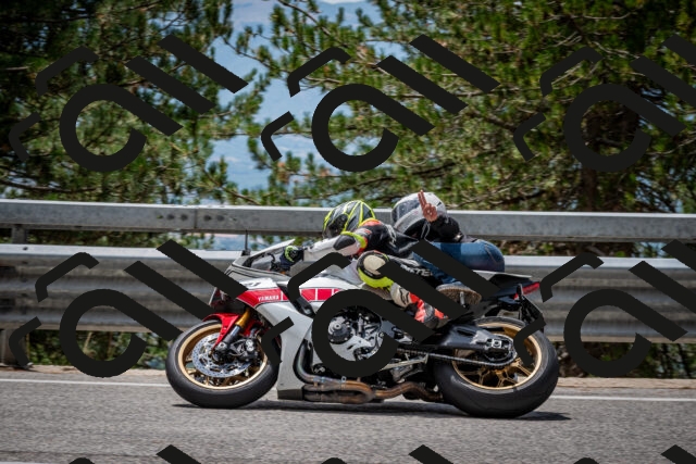 202508031258-DSC_4020_c2