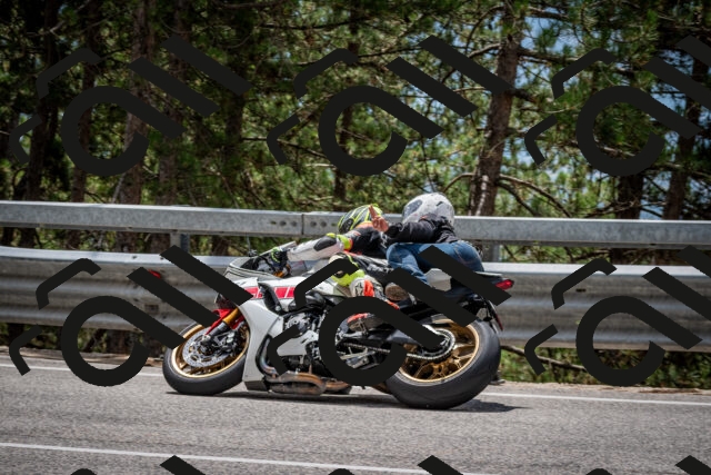 202508031258-DSC_4021_c2