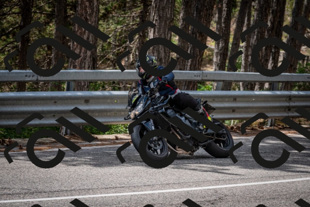 202508031258-DSC_4022_c2