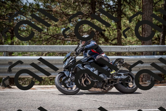 202508031258-DSC_4023_c2