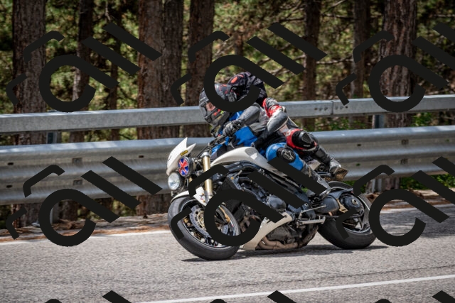 202508031259-DSC_4025_c2