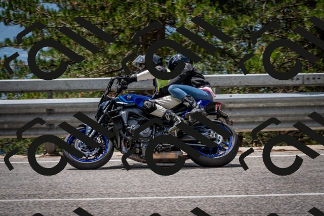 202508031259-DSC_4028_c2