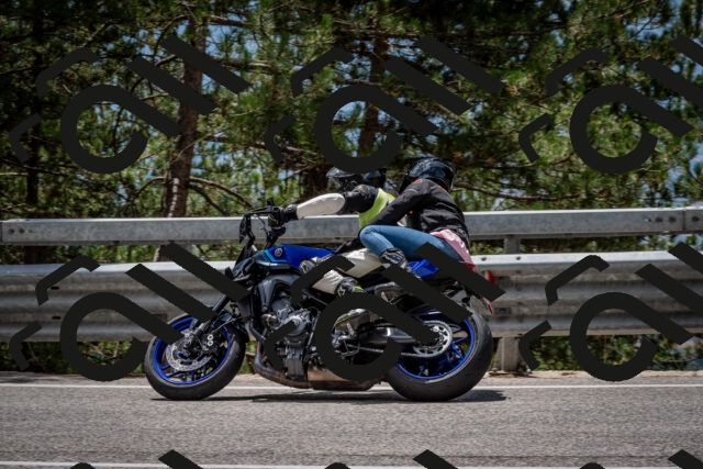 202508031259-DSC_4029_c2