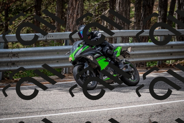 202508031259-DSC_4030_c2