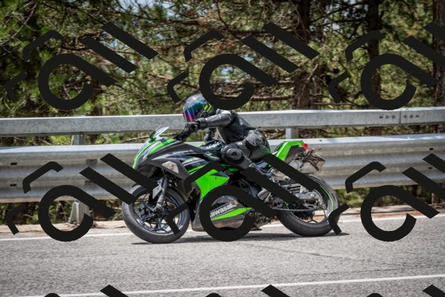 202508031259-DSC_4031_c2