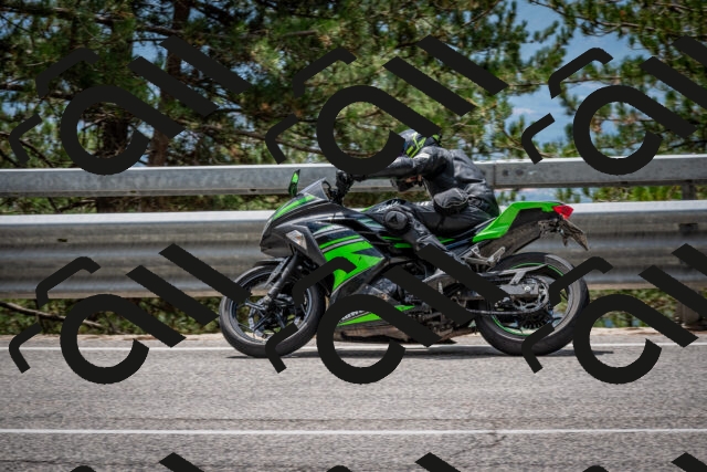 202508031259-DSC_4032_c2