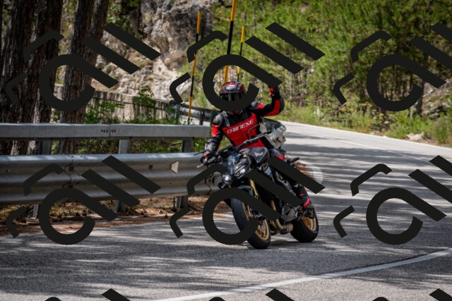 202508031259-DSC_4033_c2