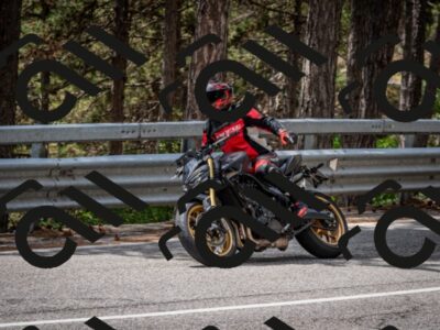 202508031259-DSC_4034_c2