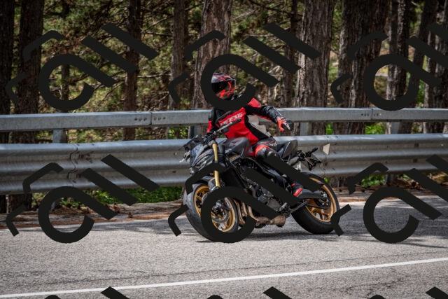 202508031259-DSC_4034_c2