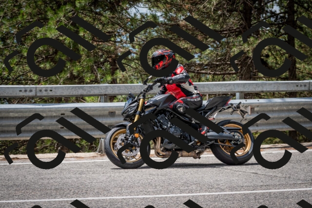 202508031259-DSC_4035_c2