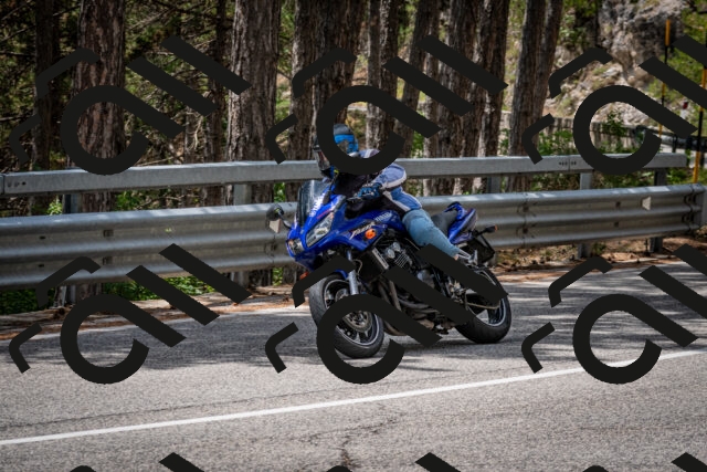 202508031259-DSC_4036_c2