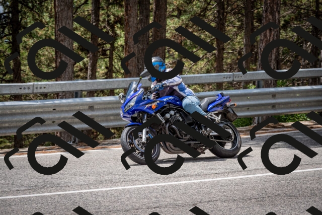 202508031259-DSC_4037_c2