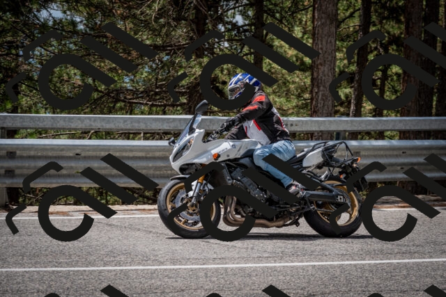 202508031259-DSC_4038_c2