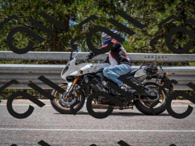 202508031259-DSC_4039_c2