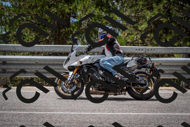 202508031259-DSC_4039_c2