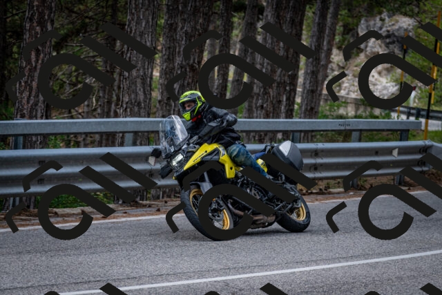 202508031301-DSC_4041_c2