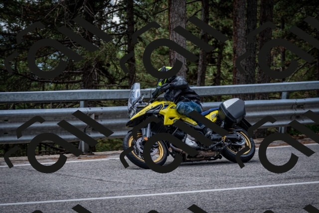 202508031301-DSC_4042_c2