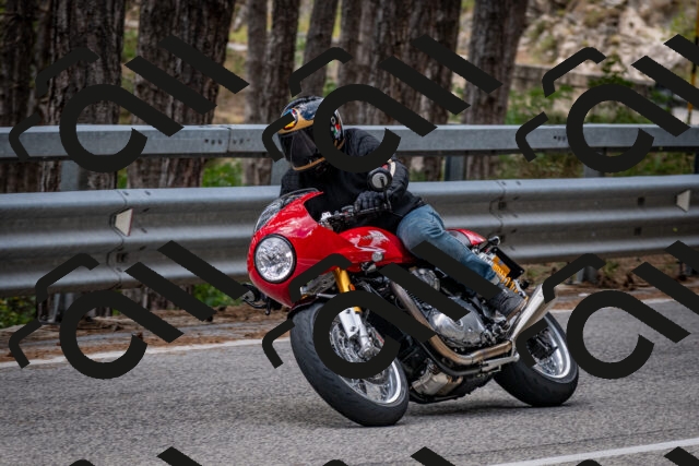 202508031301-DSC_4044_c2